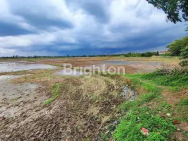 image LAHAN STRATEGIS 12.000M², COCOK UNTUK INVESTASI (1)