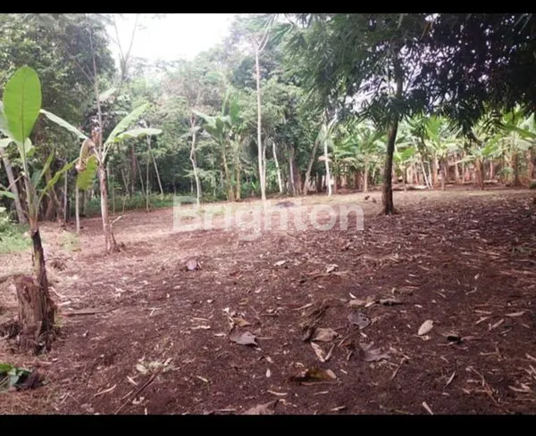 image INVESTASI TANAH PADAT, COCOK UNTUK CLUSTER ATAU KOST (7)