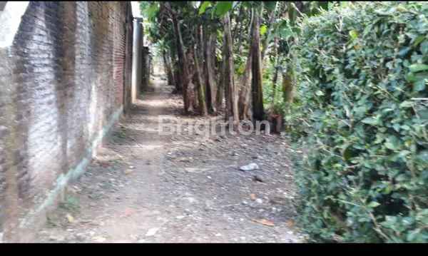 image INVESTASI TANAH PADAT, COCOK UNTUK CLUSTER ATAU KOST (3)