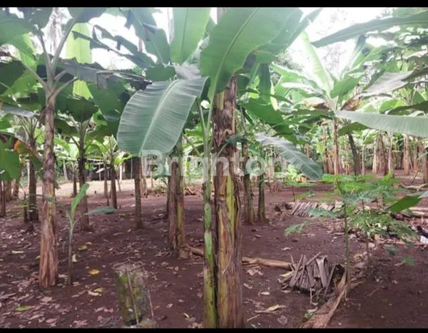 image INVESTASI TANAH PADAT, COCOK UNTUK CLUSTER ATAU KOST (6)