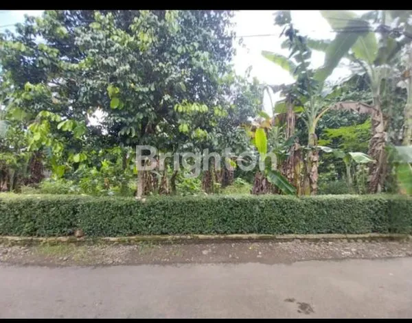 image INVESTASI TANAH PADAT, COCOK UNTUK CLUSTER ATAU KOST (2)