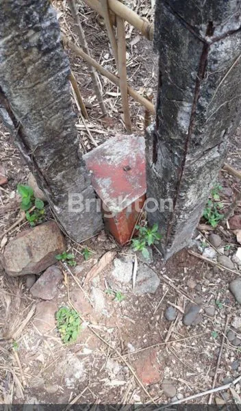 image INVESTASI TANAH PADAT, COCOK UNTUK CLUSTER ATAU KOST (8)