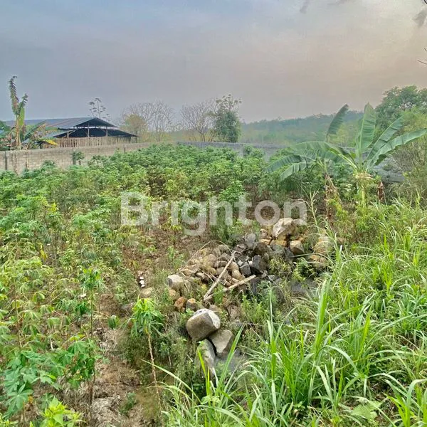 image TANAH BONUS 2 RUKO  COCOK BUAT PERGUDANGAN DAERAH AMPEL BOYOLALI  (3)