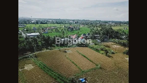 image DIJUAL VILLA MODERN MINIMALIS DI GIANYAR (5)