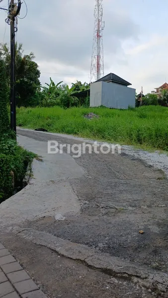 image HUNIAN NYAMAN & STRATEGIS DI JANTUNG KOTA TABANAN – SIAP HUNI! (3)