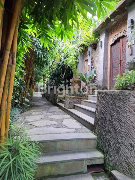 image VILLA DI BRESELA UBUD (7)