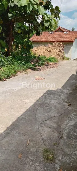 image TANAH LUAS 546M², COCOK UNTUK HUNIAN & USAHA (3)