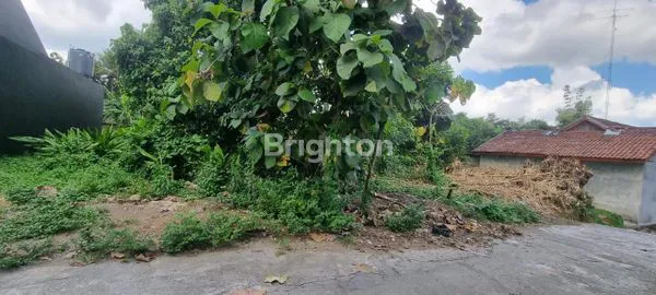 image TANAH LUAS 546M², COCOK UNTUK HUNIAN & USAHA (4)