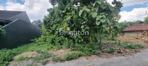 image TANAH LUAS 546M², COCOK UNTUK HUNIAN & USAHA (5)