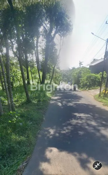 image TANAH DAN KANDANG YANG LUAS DAERAH AMPEL BOYOLALI (1)