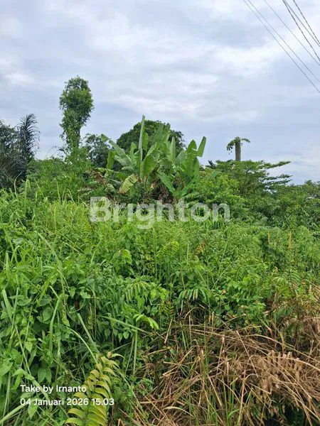 image TANAH KOSONG LUAS 705M DI SUKABUMI LAMPUNG (2)
