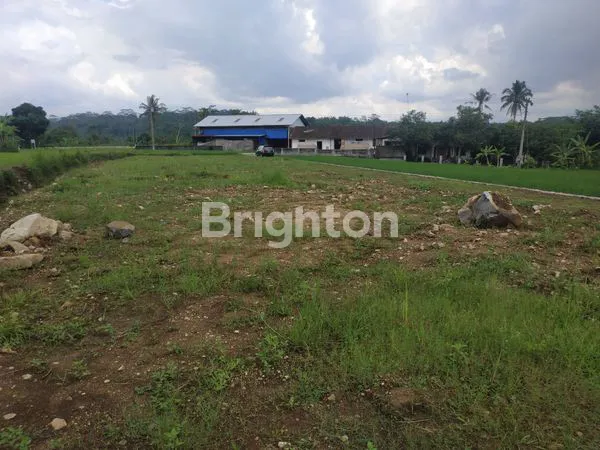 image TANAH STRATEGIS SHM 1.311M², SIAP BANGUN DI TEMANGGUNG (4)