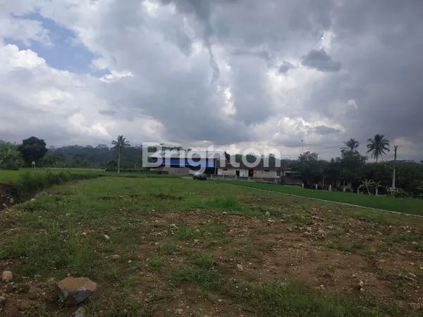 image TANAH STRATEGIS SHM 1.311M², SIAP BANGUN DI TEMANGGUNG (3)