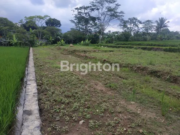 image TANAH STRATEGIS SHM 1.311M², SIAP BANGUN DI TEMANGGUNG (5)