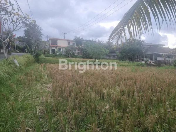 image TANAH UBUD ZONA  BISNIS PENGOSEKAN UBUD (7)