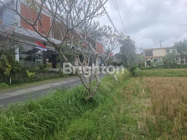 image TANAH UBUD ZONA  BISNIS PENGOSEKAN UBUD (6)