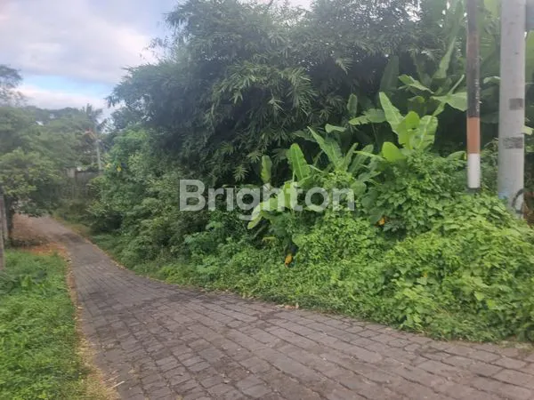 image TANAH UBUD ZONA  BISNIS PENGOSEKAN UBUD (3)