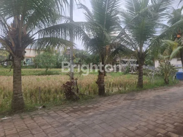 image TANAH UBUD ZONA  BISNIS PENGOSEKAN UBUD (8)