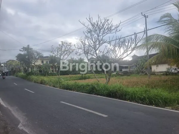 image TANAH UBUD ZONA  BISNIS PENGOSEKAN UBUD (1)