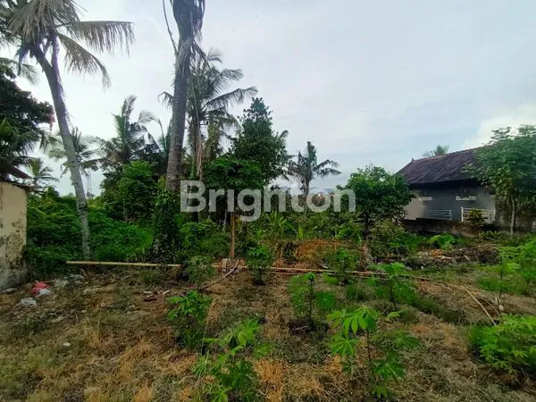 image TANAH STRATEGIS 14 ARE, DEKAT PANTAI ANTAP (4)