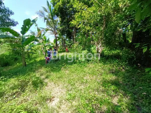 image TANAH STRATEGIS 14 ARE, DEKAT PANTAI ANTAP (7)