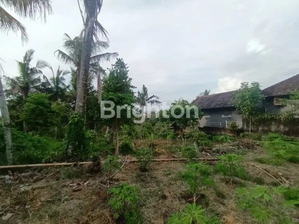 image TANAH STRATEGIS 14 ARE, DEKAT PANTAI ANTAP (3)