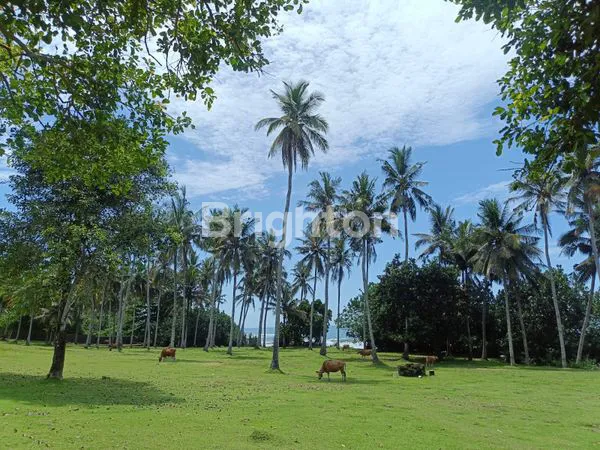 image TEPI PANTAI MURAH  (5)