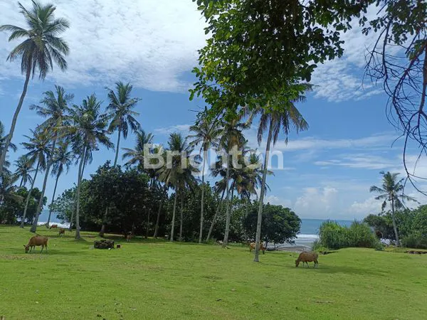 image TEPI PANTAI MURAH  (6)