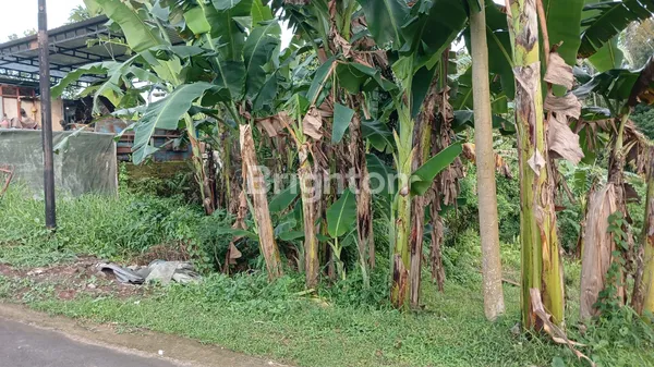 image PELUANG EMAS! LAHAN PROSPEKTIF DI JANTUNG KOTA TABANAN – INVESTASI CERDAS! (2)