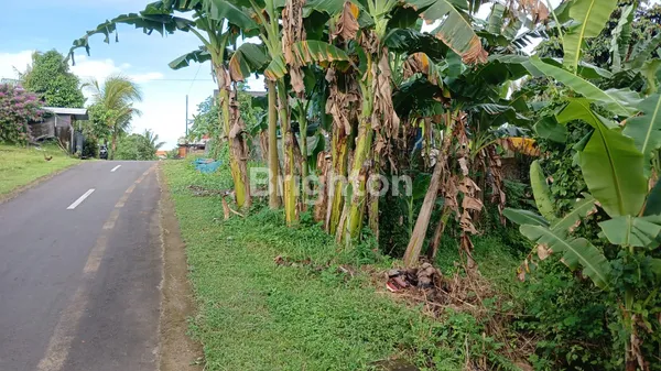image PELUANG EMAS! LAHAN PROSPEKTIF DI JANTUNG KOTA TABANAN – INVESTASI CERDAS! (1)