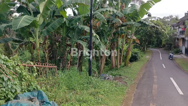 image PELUANG EMAS! LAHAN PROSPEKTIF DI JANTUNG KOTA TABANAN – INVESTASI CERDAS! (5)