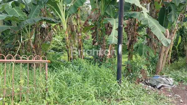 image PELUANG EMAS! LAHAN PROSPEKTIF DI JANTUNG KOTA TABANAN – INVESTASI CERDAS! (6)