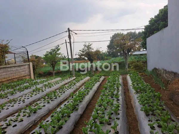 image KAVLING PREMIUM SETIABUDI, SHM 220M² (8)