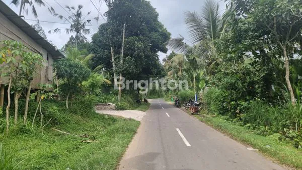 image TANAH UBUD EKSKLUSIF 4.300M², PEMANDANGAN GUNUNG (1)
