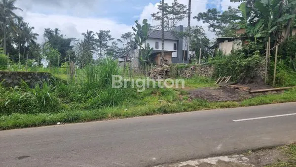 image TANAH UBUD EKSKLUSIF 4.300M², PEMANDANGAN GUNUNG (2)