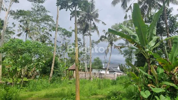 image TANAH UBUD EKSKLUSIF 4.300M², PEMANDANGAN GUNUNG (6)