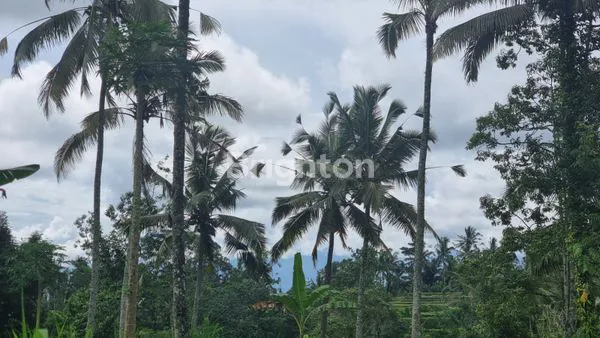 image TANAH UBUD EKSKLUSIF 4.300M², PEMANDANGAN GUNUNG (3)