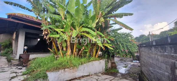 image DISEWAKAN TANAH STRATEGIS – GATSU BARAT (1)