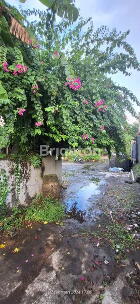 image DISEWAKAN TANAH STRATEGIS – GATSU BARAT (6)