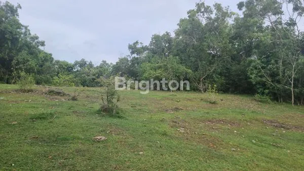 image ALILA PECATU – KAWASAN PARIWISATA STRATEGIS KUTA SELATAN, BALI \UD83C\UDF05 (2)