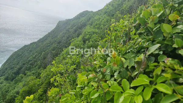 image ALILA PECATU – KAWASAN PARIWISATA STRATEGIS KUTA SELATAN, BALI \UD83C\UDF05 (5)