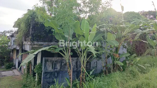 image PELUANG INVESTASI: RUMAH 2 LANTAI HARGA MIRING DI PUSAT KOTA TABANAN! (2)