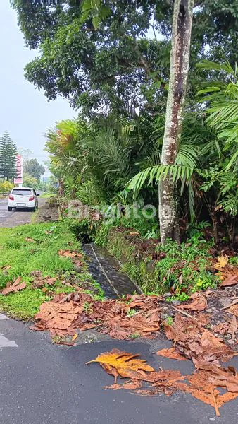 image DIJUAL TANAH PEKARANGAN TURI SLEMAN (4)