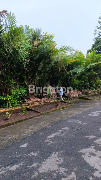 image DIJUAL TANAH PEKARANGAN TURI SLEMAN (2)