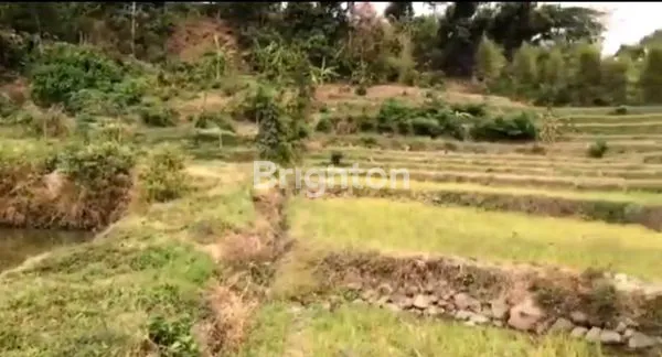 image TANAH LUAS 2,3 HEKTAR DI PACET, VIEW GUNUNG (2)