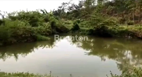 image TANAH LUAS 2,3 HEKTAR DI PACET, VIEW GUNUNG (3)