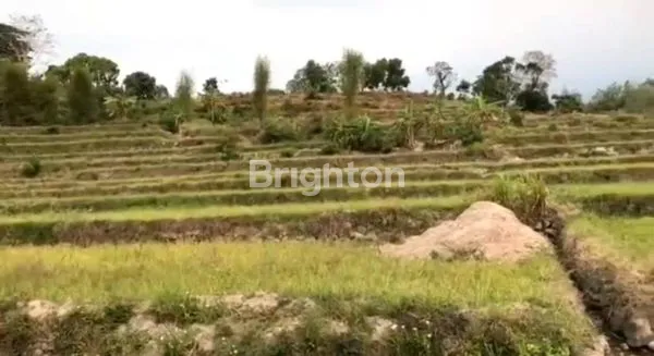 image TANAH LUAS 2,3 HEKTAR DI PACET, VIEW GUNUNG (1)