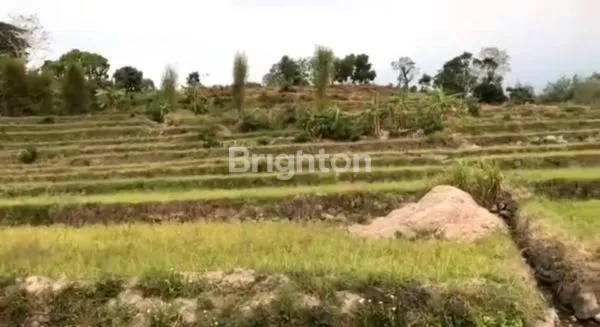 image TANAH LUAS 2,3 HEKTAR DI PACET, VIEW GUNUNG (5)