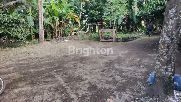 image TANAH DI PERKAMPUNGAN (2)