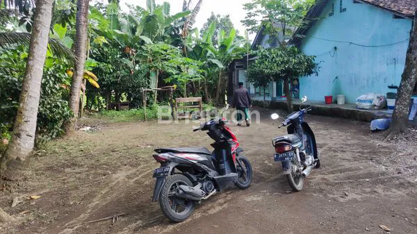 image TANAH DI PERKAMPUNGAN (3)